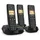 Gigaset Pure 100 AM Trio schwarz