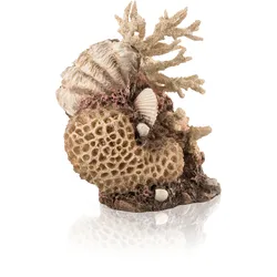 biOrb Korallen-Muschel Ornament natural (48360)