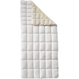 billerbeck Cosidorm Nature-Organic Topper 90 x 190 cm