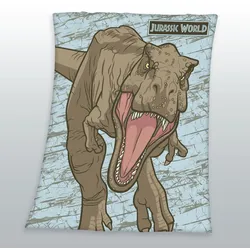 Kinderdecke JURASSIC WORLD "Jurassic World", bunt, B:130cm L:170cm, Wohndecken, mit tollem Jurassic World Motiv