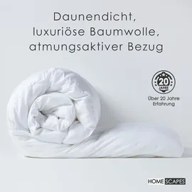 Homescapes Leichte Sommerdecke 135x200 cm, dünne Bettdecke Wärmeklasse 1, Gänsefedern- & Daunendecke, Steppdecke Sommer mit 150 gsm Füllung
