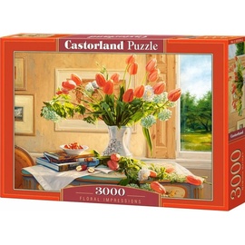 Castorland C-300594-2 Puzzle 3000 Teile)