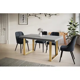 alpi möbel LOFT-U 160-260 x 77 x 90 cm grau/gold