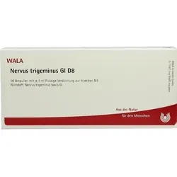 Nervus Trigeminus Gl D8 Ampullen