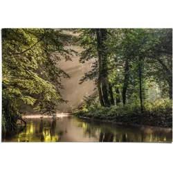Poster REINDERS "Lichtspiel am Waldsee", grün (farbe bild(er): grün), B:91,5cm H:61cm, Papier, Bilder