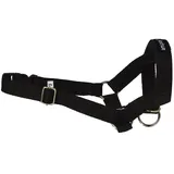 amiplay Hunde-Maulgeschirr 'Basic' | Hundemaulkorb | Erziehungsgeschirr | Maulkorb | Maulband Größen, Farbe:Schwarz, Größe:XL | 24-45 [a] x 50-65 [b] x 2 cm