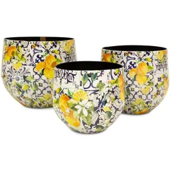 Lemon Fusion Tischgefäß für Pflanzen multicolor 3er Set