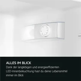 AEG OSK5O88ES Einbaukühlschrank (142 l, 873 mm hoch)