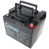 KungLong Kung Long WPL45-12N F8 Longlife Blei-Vlies-Akku, 12Volt, 45Ah, M6 Innengewinde