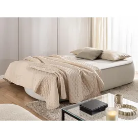 S-Style Kindersofa Vero 210 x 90 x 98 cm Buche massiv grau