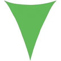 vidaXL Sonnensegel 160 g/m2 Hellgrün 4x5x5 m HDPE