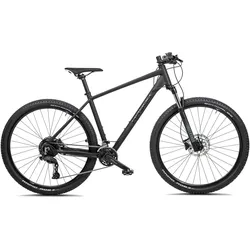 Mountainbike 29 Zoll RR900 schwarz M