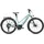 Specialized Vado 5.0 Step Through 2026 L 28 Zoll RH 54 cm beige
