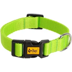 Red Dingo DINGO Energy green - Hundehalsband - 20-32 cm (Hund, Allgemein), Halsband + Leine