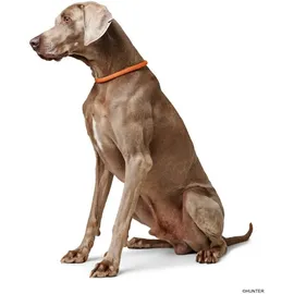 Hunter Freestyle Dressurhalsband Orange M