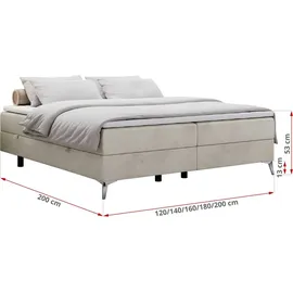 MKS Meble Boxspringbett 200 x 200 cm H3 Beige