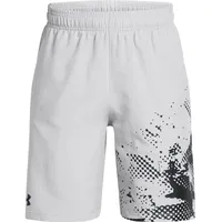 Under Armour Tech Woven Graphic Kurze Hose - Mod