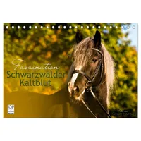 Calvendo Faszination Schwarzwälder Kaltblut (Tischkalender 2026 DIN A5 quer),