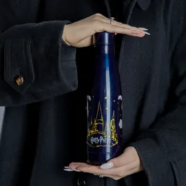 Scooli Harry Potter Schwarz 0,45 l