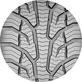 Uniroyal AllSeasonExpert 2 205/60 R16 96H