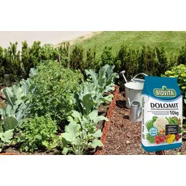 biovita decorative stones & garden minerals Dolomit Calcium- und Magnesiumdünger 10 kg