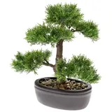Emerald Kunstpflanze Bonsai Zeder Grün 32 cm