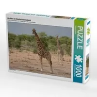 Calvendo Giraffen im Etosha Nationalpark 1000 Teile Puzzle Quer