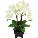 I.GE.A. Kunstblume »Künstliche Orchidee in Schale Phalaenopsis Kunstblume Blume«, Kunstorchidee Deko Dekoblume Seidenblume, weiß