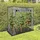 garden hero Gewächshaus Tomatenhaus 170x80x170cm 62677