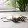 Zen ZENS USB-C auf Pro 3, Ladekabel, 1,5 m, Schwarz