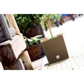 Prosperplast Rato Low  32 x 32 x 32,5 cm mocca