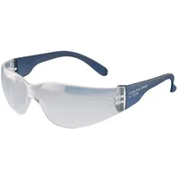 Ekastu Safety Ekastu 277 376 Schutzbrille Blau EN 166-1 DIN 166-1