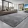 Vevor Hochflor Teppich 3048x2438 mm, Flauschiger Wohnzimmerteppich mit dreilagigem Material, 35 mm Florhöhe, für Wohnzimmer, Schlafzimmer, Loungebereich, fusselfrei und mit weich, grau