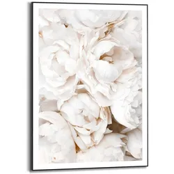 Bild WHITE ROSES - bunt