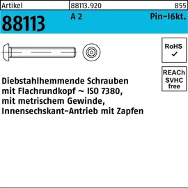 F. REYHER Nchfg. GmbH & Co. KG Schraube R 88113 Diebstahlh. Innen-6kt Zapfen M6 x 50 100 Stück