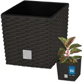 KOTARBAU® Blumentöpfe 6,8 L Höhe: 20 cm Umbra Pflanzentopf aus Kunststoff Übertopf mit Innentopf Blumentopf Set wie Rattan Pflanzentopf Innen Außen