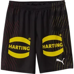 Puma DHB Shorts With Sponsor puma black-puma red (02) XXL