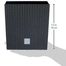 Prosperplast Rato Low 17 x 17 x 17 cm anthrazit