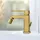 Fortis Scala Bidetarmatur gold 8430600BG