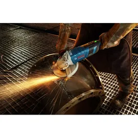 Bosch GWS 30-230 PB Professional 06018G1100