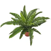 Homescapes Kunstpflanze Nephrolepis Exaltata, künstlicher Schwertfarn im Topf, 45 cm,