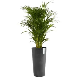 Ecopots Amsterdam High 41 cm