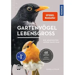 Gartenvögel lebensgroß