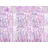 Partydeco Türvorhang Folie gestreift Irisierend 90 x 250 cm