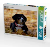 Calvendo Entlebucher Sennenhund Puzzle