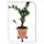 PROGARDEN Pflanzenroller grau