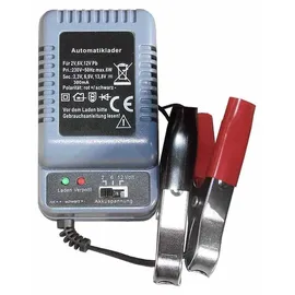 H-Tronic Bleiakku-Ladegerät AL 300 PRO 2 V, 6 V, 12V Ladestrom (max.) 0.3A