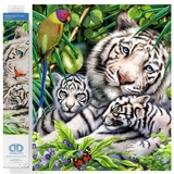 DIAMOND DOTZ DD10.006 Original Diamond Painting White Tiger, - Cubs 52 x 52 cm,