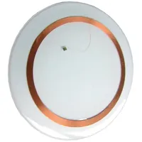 Pepperl+Fuchs 261642 RFID-Transponder IPC11-50CD 10pcs