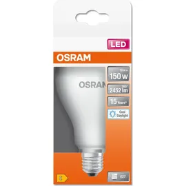 DeLock LED-Birne 150W E27 6500 K 1 St.